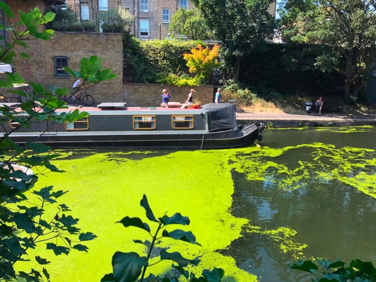 Urban Oasis With Views In Old St * Londra